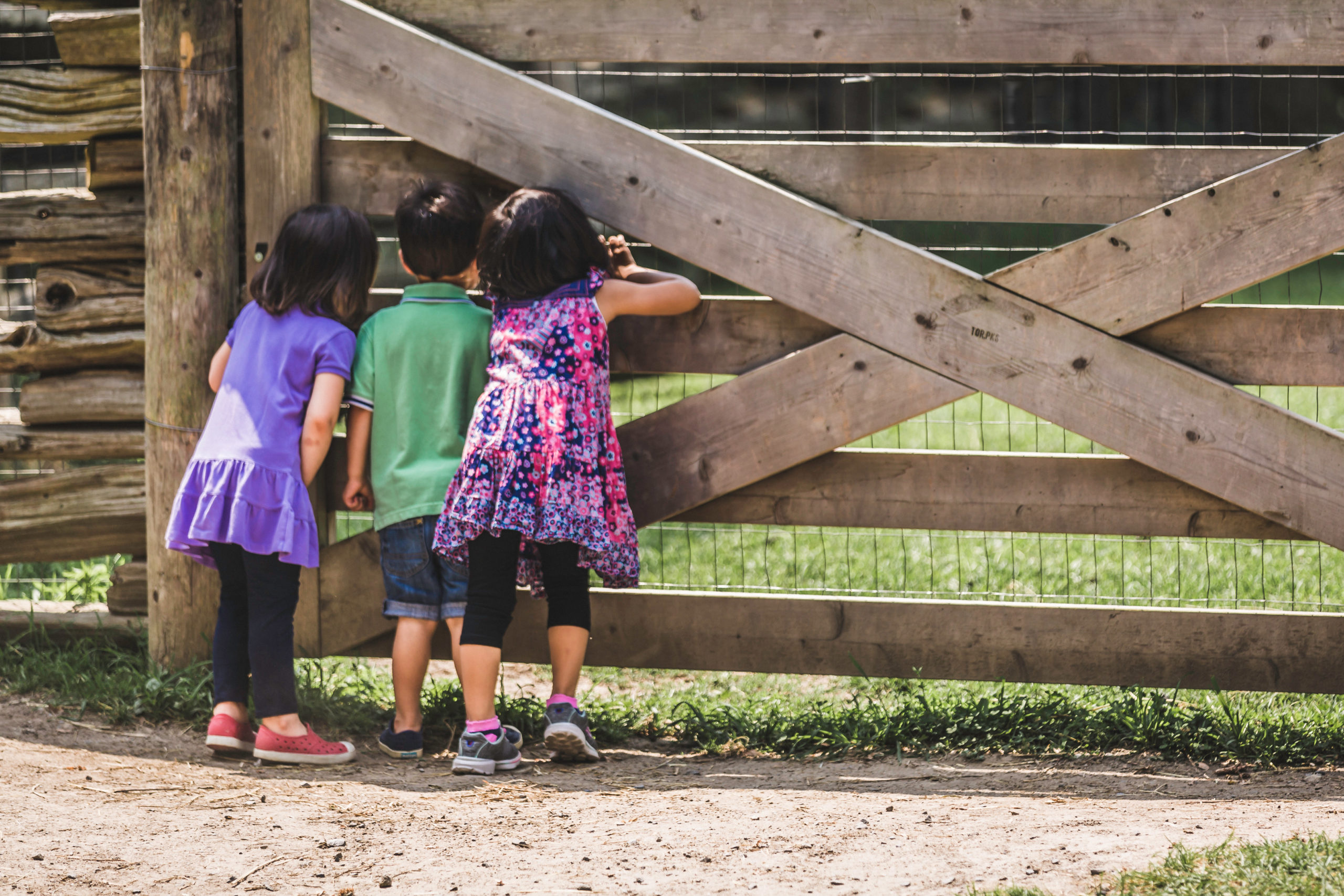 kids-at-the-farm